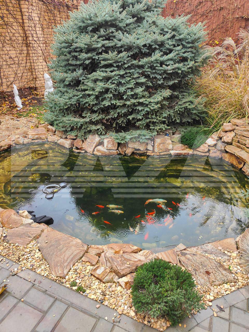 Немає опису.