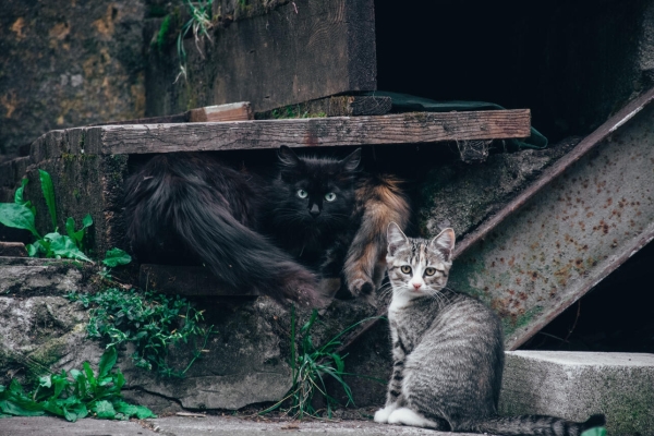 27 марта: какой сегодня праздник?